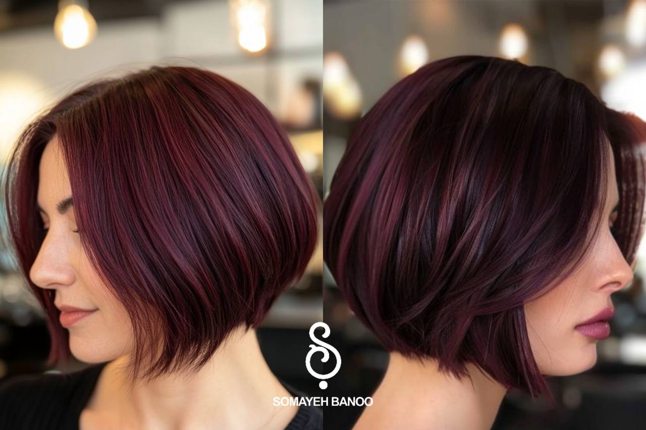 رنگ مو فانتزی بنفش بادمجانی